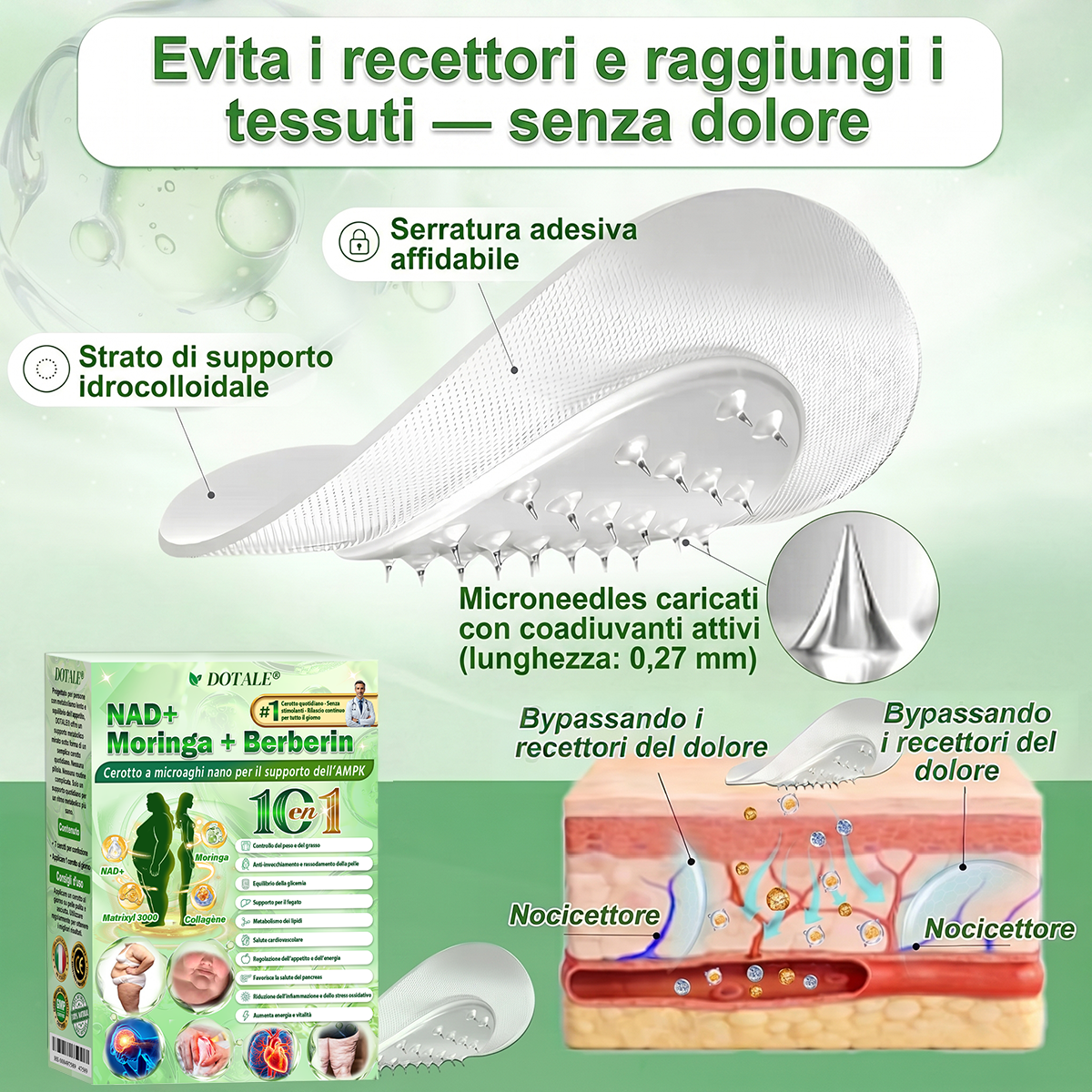 DOTALE®Sono rimaste solo 5 confezioni!Ti offriamo un ulteriore sconto del 30%!Riprendi la tua forma fisica e la tua salute.Se perdi questa occasione, non ne avrai un’altra fino al prossimo anno.